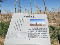 -二连浩特国家地质公园