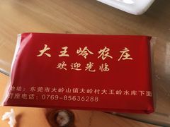 -大王岭农庄