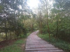 -分塔山省级森林公园