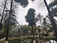 -湖滨客舍·湖北菜