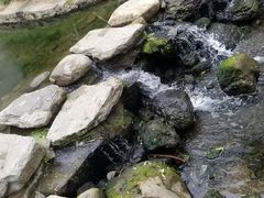 -白水寺森林公园