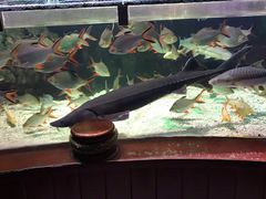 -太平洋海底世界