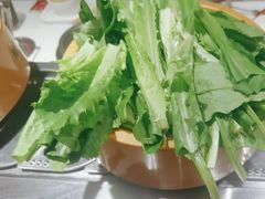 -龍歌自助小火锅(崂山丽达店)