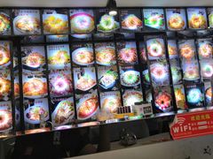 -金手勺东北菜馆(大屯北路店)