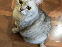 -隅cafe(傅厚岗店)