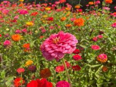 -长春世界雕塑园冰雪艺术天地