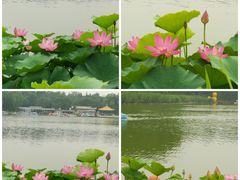 -陶然亭公园
