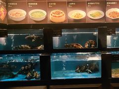 -百富源·海鲜辽菜(和平北大街店)