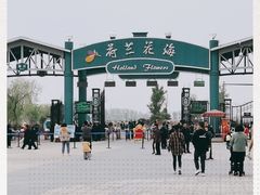 -荷兰花海