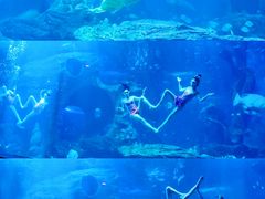 -多彩贵州城极地海洋世界