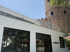 -J Create城市露营咖啡·简餐·宠物(上海动物园店)