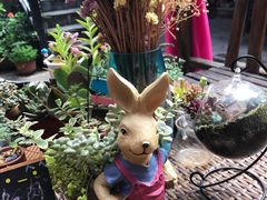 -浔岚云舍mist静谧观景美宿(丽江古城店)