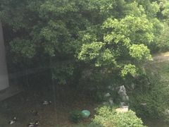 -汇金酒店·餐厅