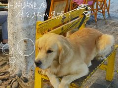 -八木轩·寻味大理白族民俗餐厅(文献路店)