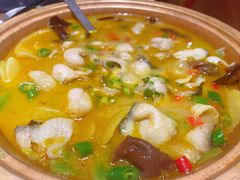 -鸡毛店·川菜(文殊院店)