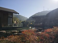 -杭州开元森泊度假乐园