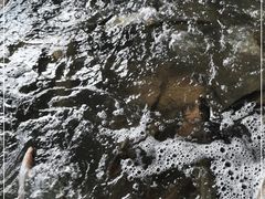 -白沙洲农产品大市场海鲜交易区