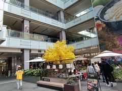 -福田卓悦INTOWN购物中心