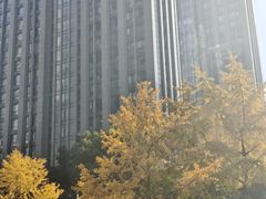 -长江路历史文化街区