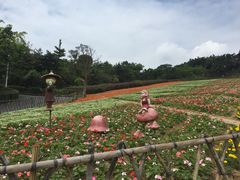 -东部华侨城