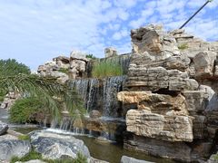 -石家庄市植物园