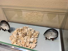 -合浦汉代文化博物馆