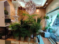 -蝶舍·MAISON PAPILLON