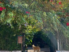 -豆舞咖啡(民乐路店)