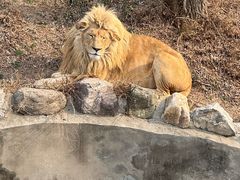 -石家庄市动物园