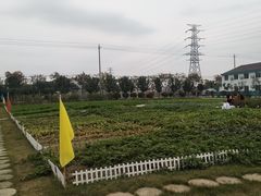 -嬉乐湾休闲旅游区