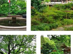 -申粤轩酒楼·三十年粤菜经典(丁香花园店)