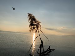 -捞渔河湿地公园