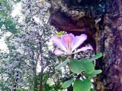 -广东外语外贸大学(白云山校区)