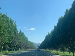 -葛记焖饼(伏牛路店)