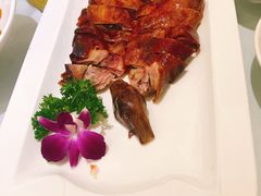 琵琶鸭-骏莱海鲜鱼港(五角场店)