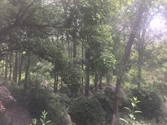 -前关湿地公园