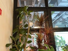 -Wagas沃歌斯(枫蓝国际店)