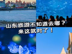 -烟台海昌鲸鲨海洋公园