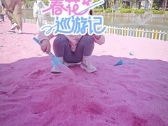 -苏州太湖西山岛开心农场