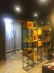 -藤野造型·专业烫染店