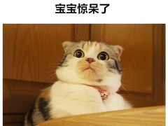 -湘与香缘·湖南菜(王府井北京市百货大楼店)