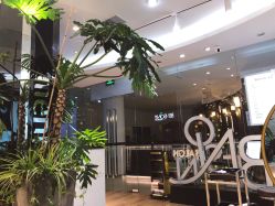 -意廊 Hair Salon