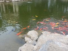 -青岛鑫江温德姆酒店