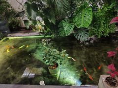 -漫笙舍Manse·咖啡·民宿