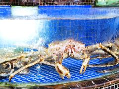 -欢乐海岸美食联盟