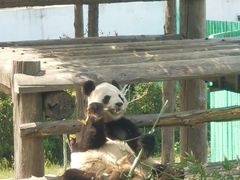 -西霞口神雕山野生动物世界