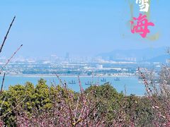 -香雪海