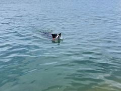 -泊石湾海滨浴场