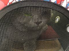 -宠颐生中康贝怡动物医院