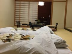 -德川奥之院酒店